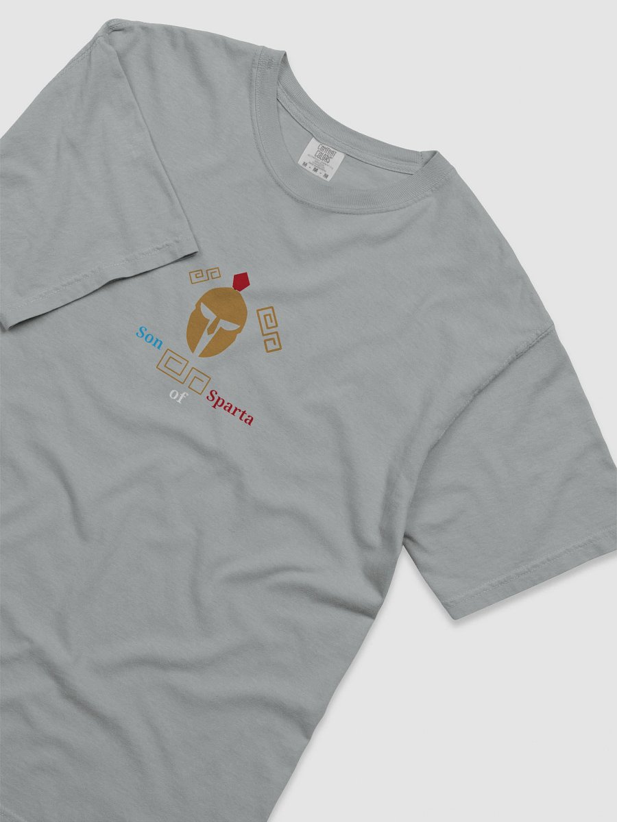 Spartan Legacy Graphic Tee product image (5)