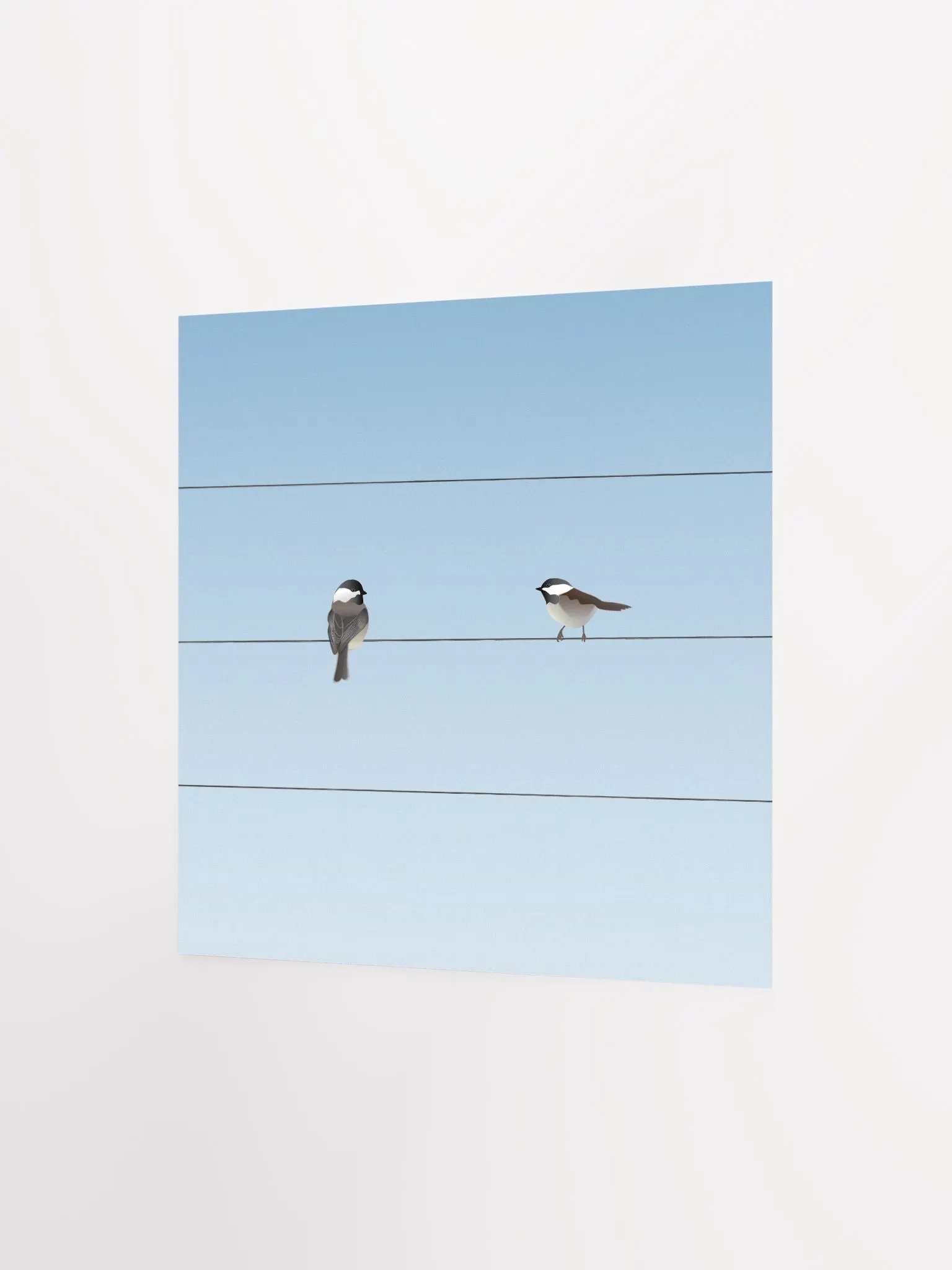 Two Birds on a Wire product image (2)