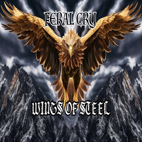 Wings of Steel product image (1)