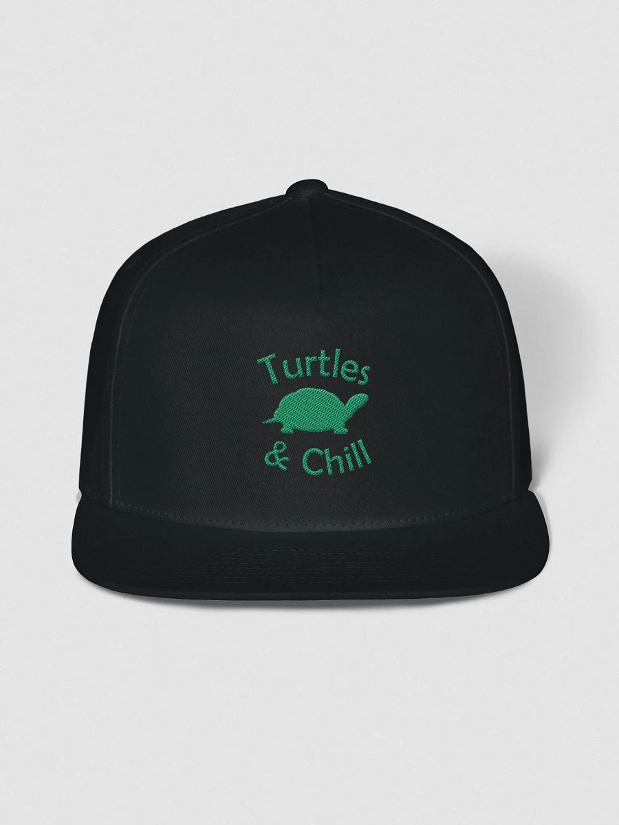 T&C Snapback product image (1)