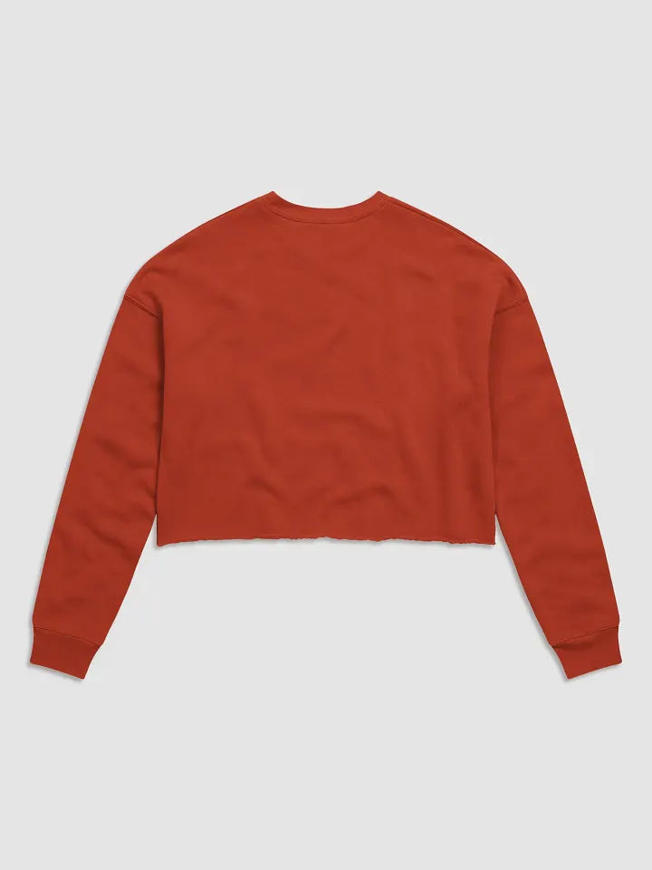 Oni Fury Cropped Sweater product image (2)