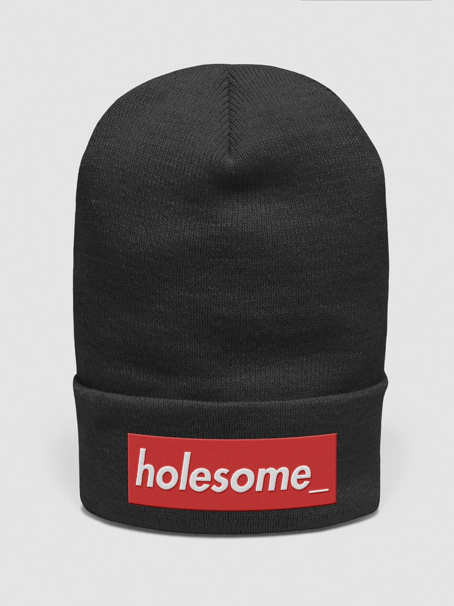 holesome_ fashion beanie product image (5)