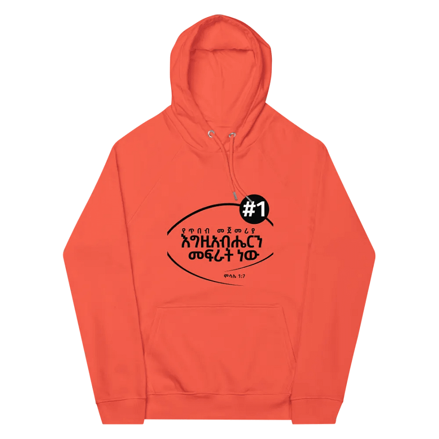 'Proverbs 1:7' Hoodie product image (4)