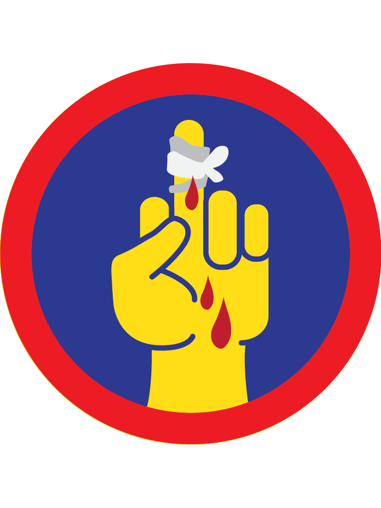(de)Merit Badge 4-Pack Magnet Bundle (2 in) product image (4)