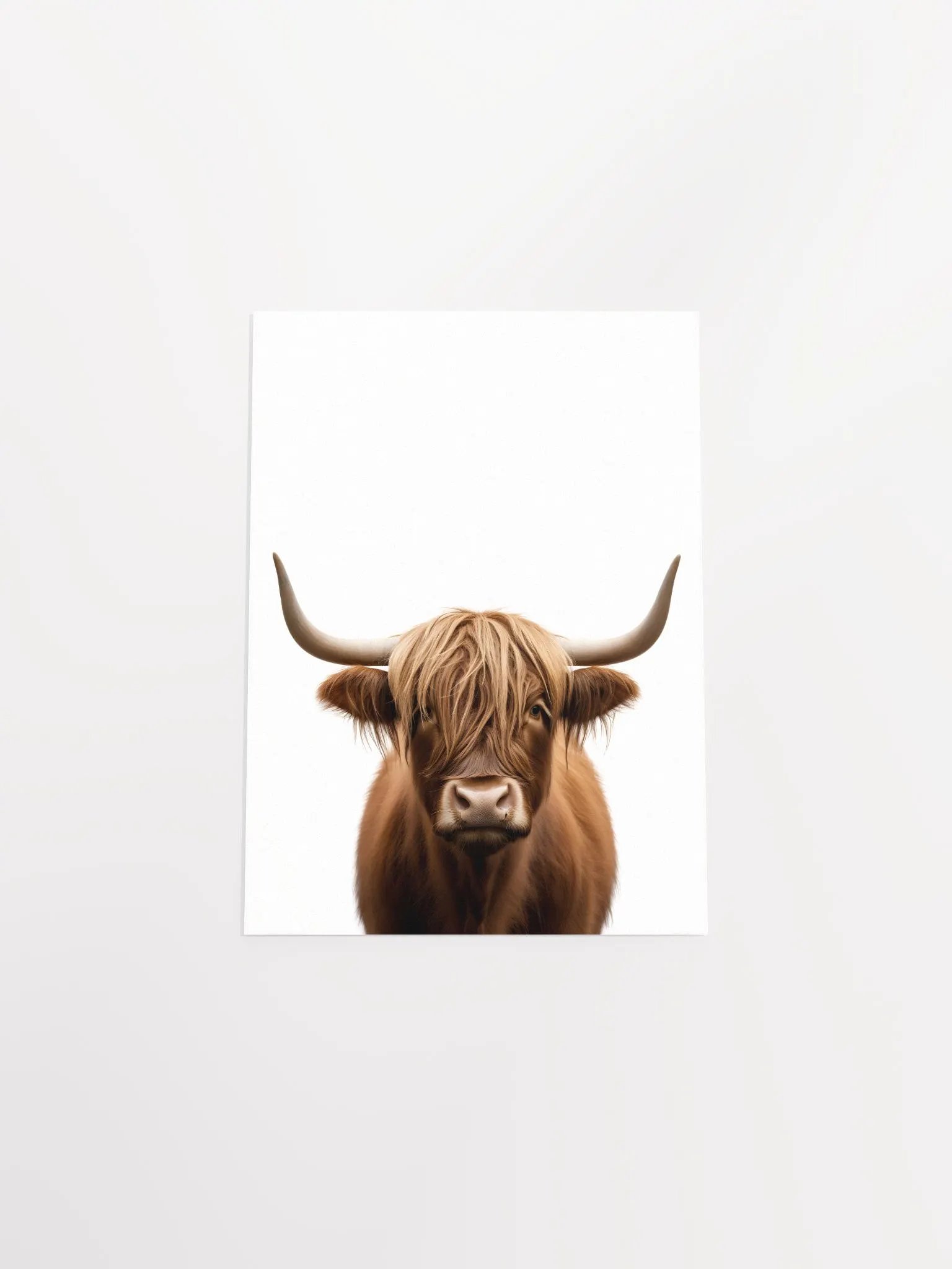 Highland Cow Portrait product image (6)