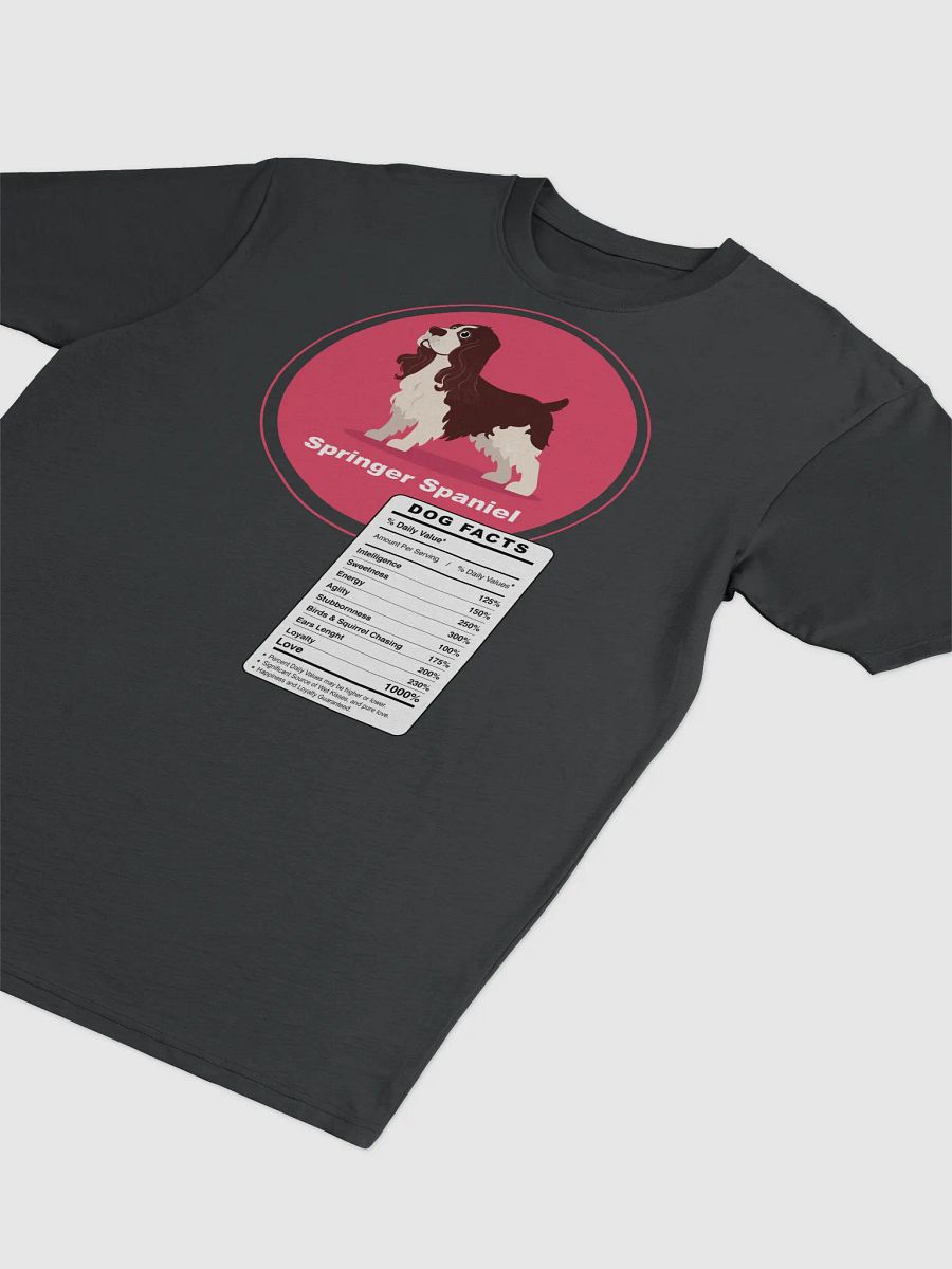 Springer Spaniel Dog Facts product image (3)