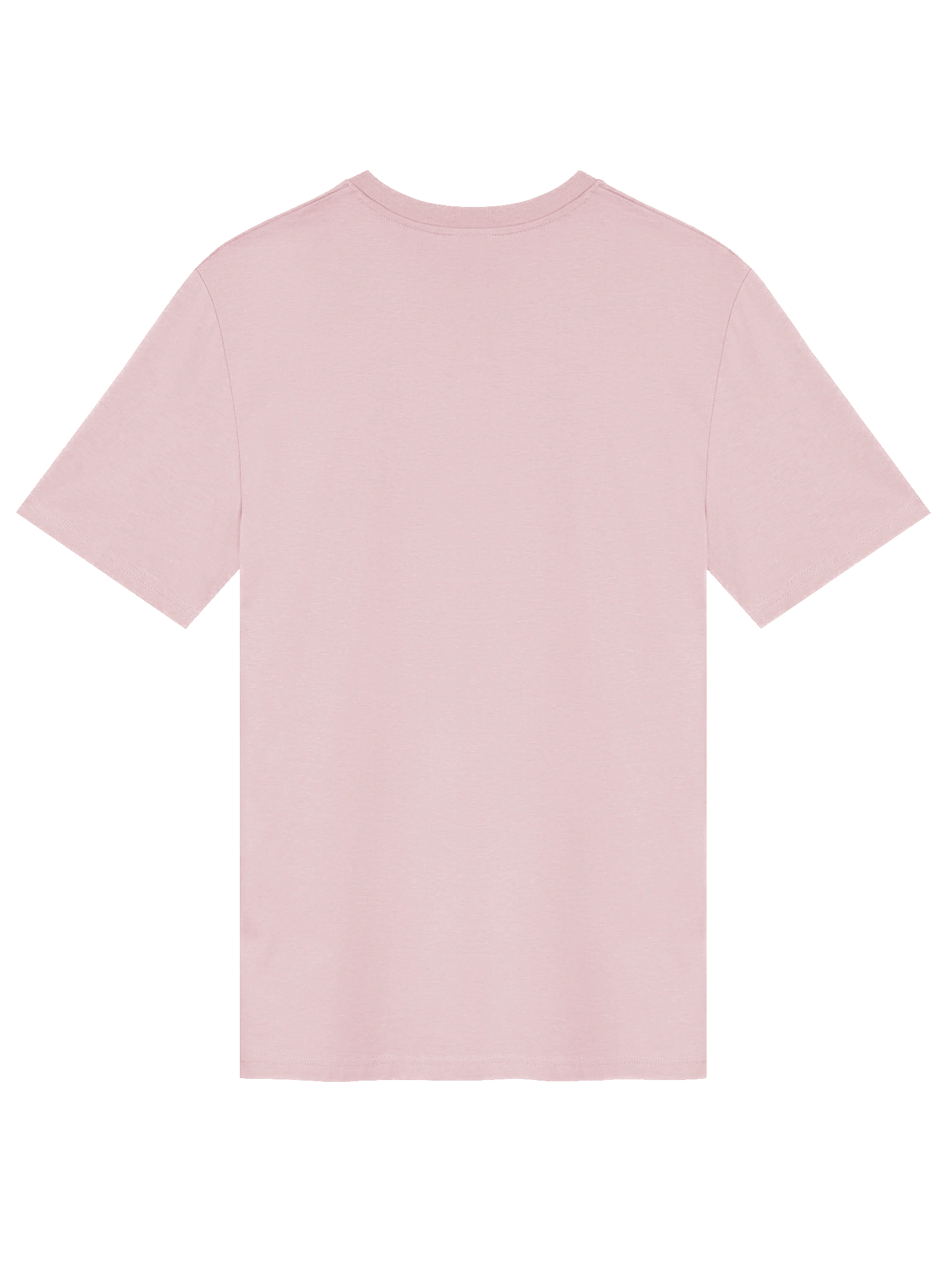 Livin' that Fairytale Life Organic T-Shirt product image (2)