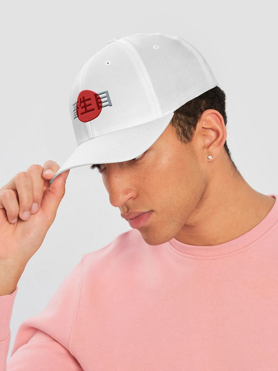 Japan product image (6)
