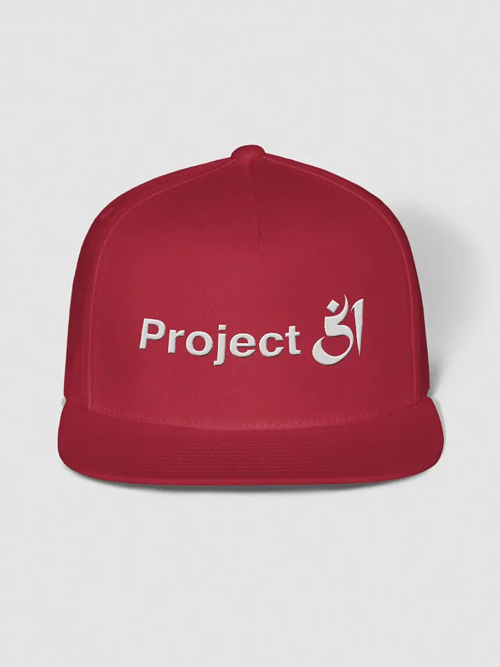 Project 51 snapback product image (1)