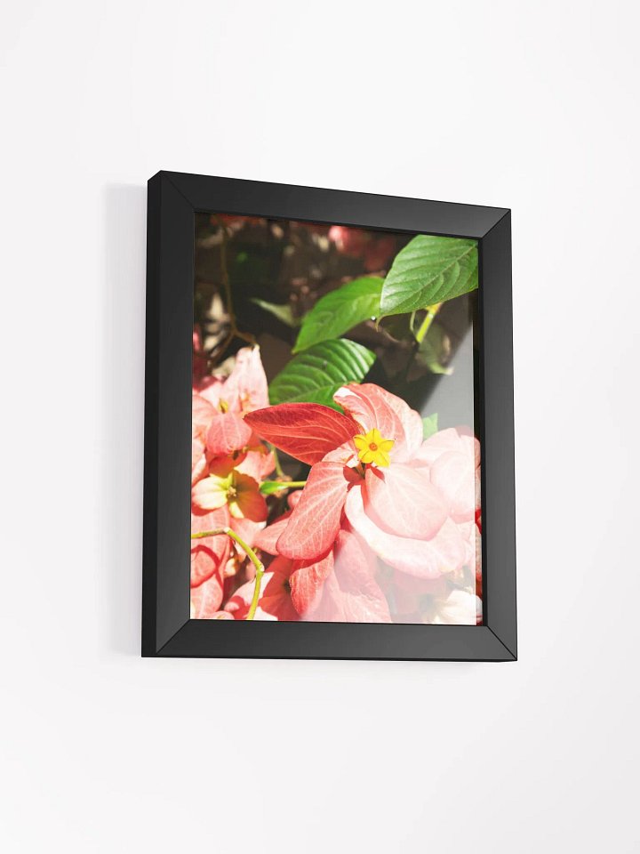 Mussaenda plant - Framed art print product image (2)