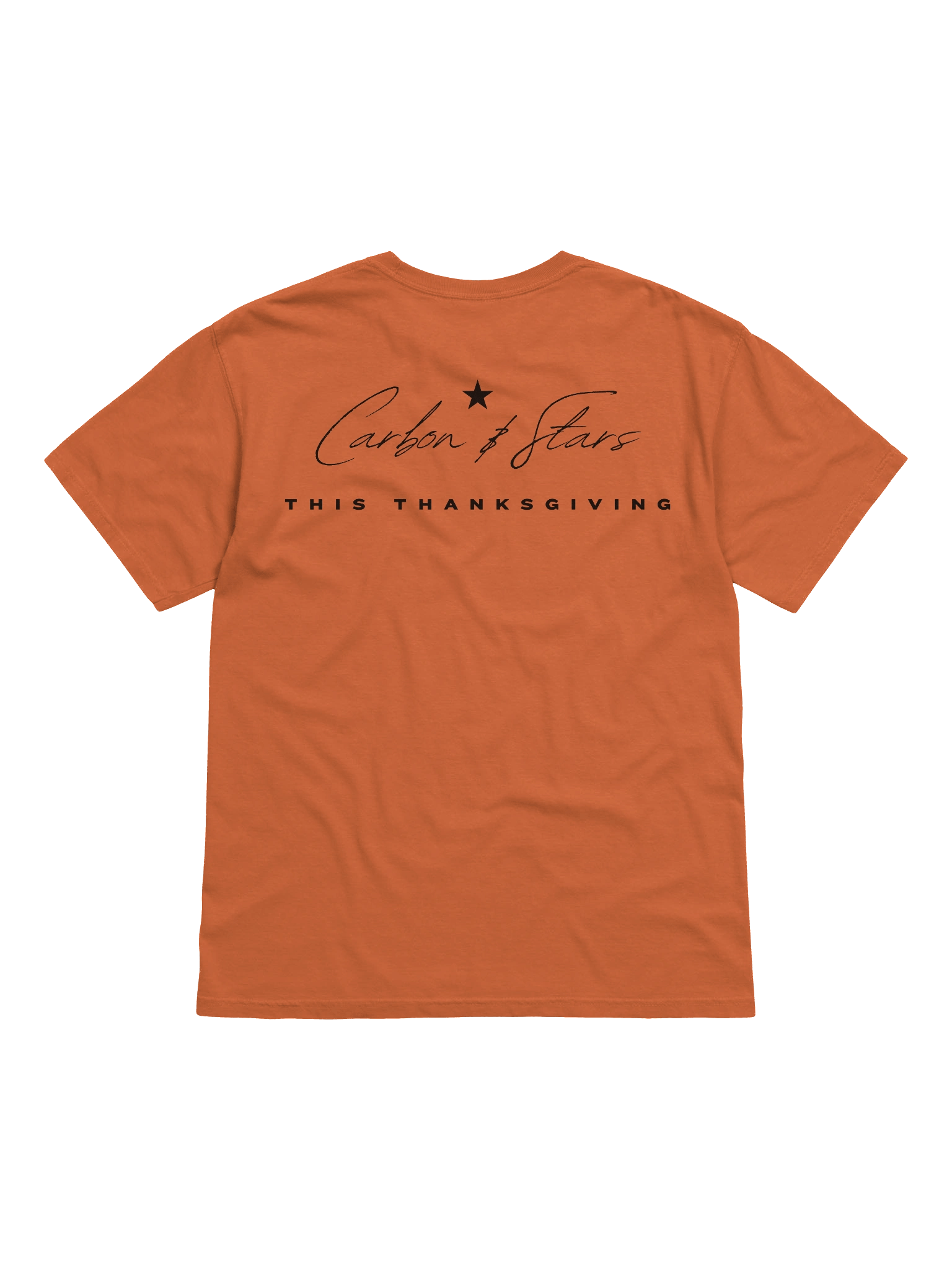 Plain Thanksgiving _ T Shirt product image (2)