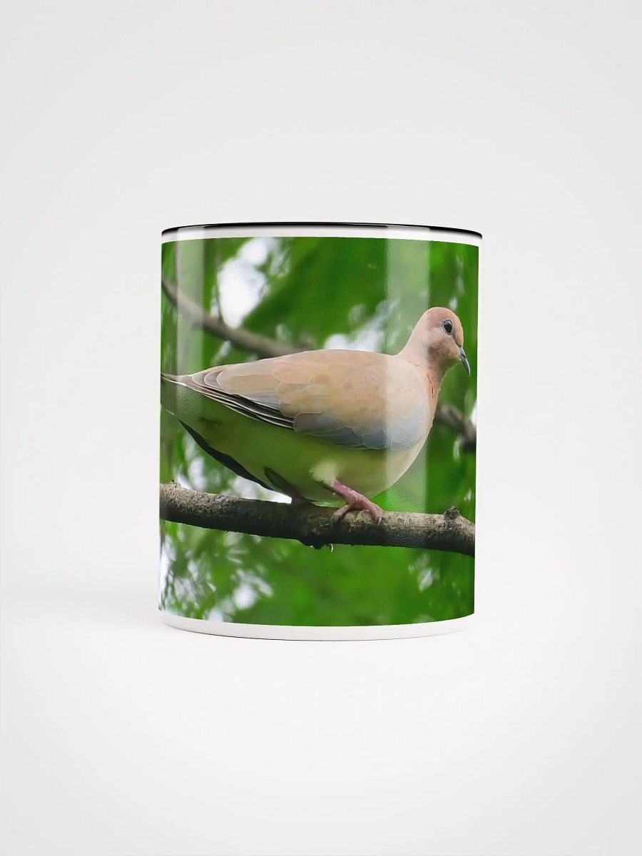 IUCAA Birds MUG product image (46)