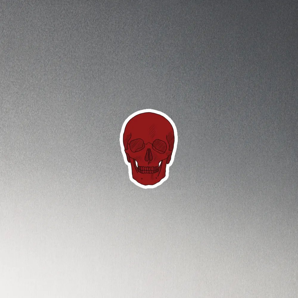 Skull magnet product image (4)