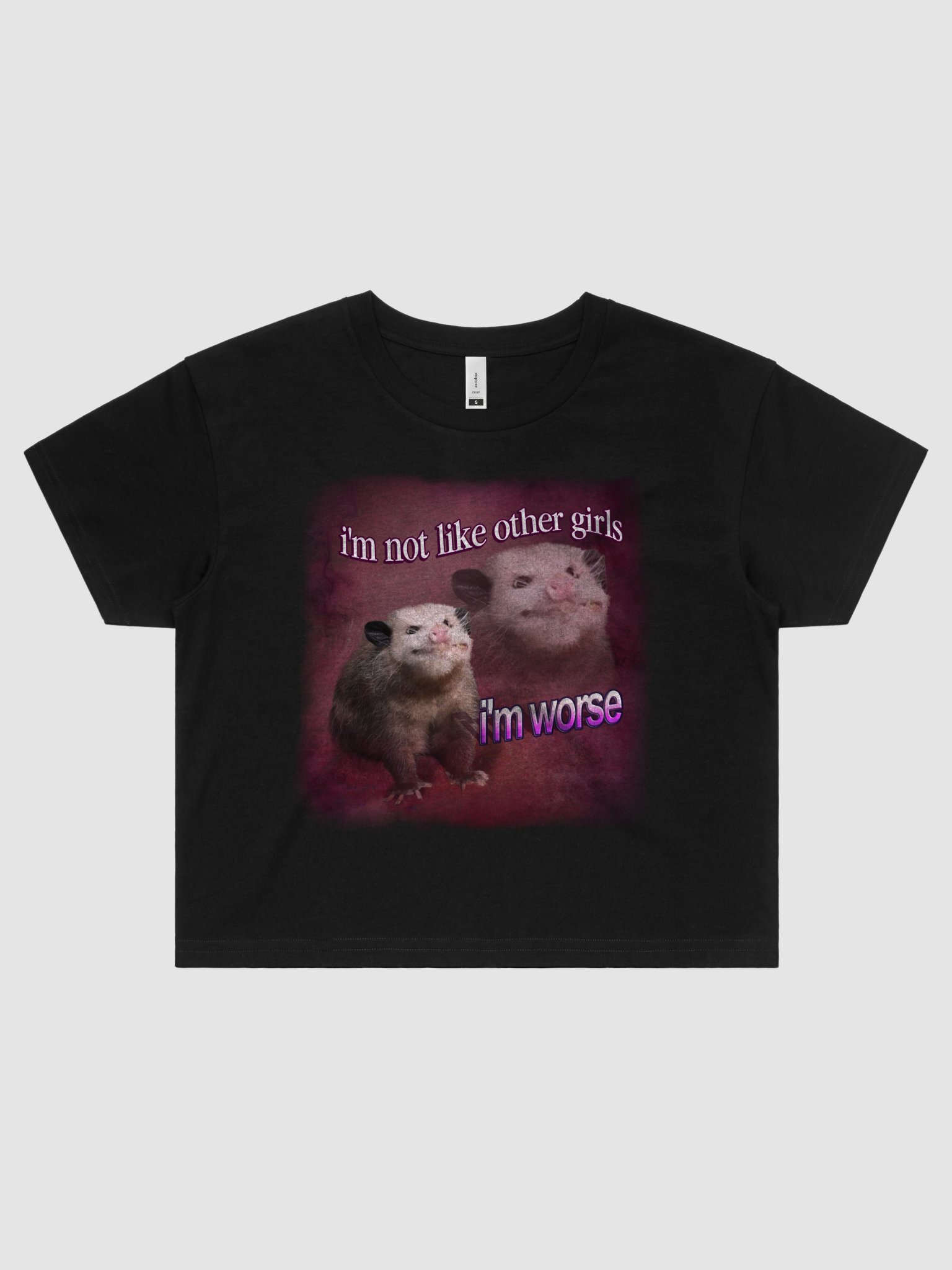 I'm not like other girls, I'm worse Crop Top product image (1)