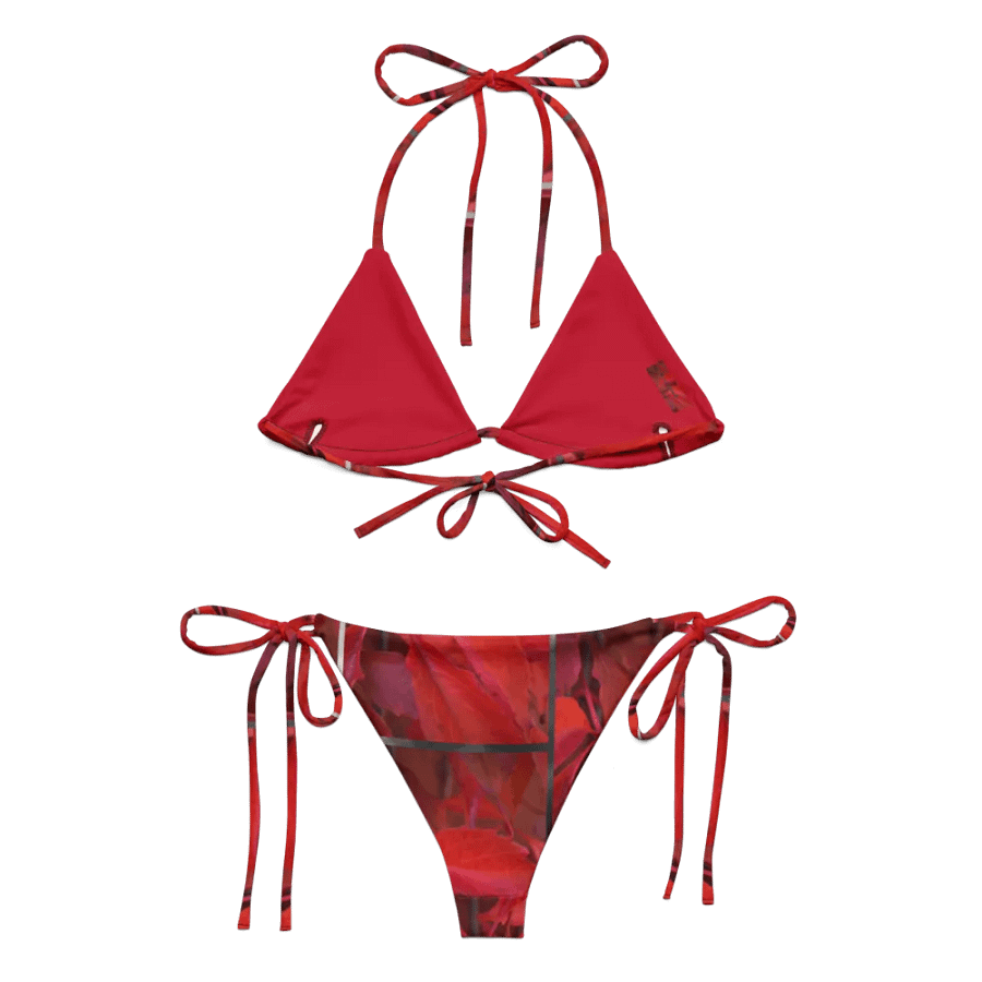 String Bikini: Vildvin Red Dreams product image (2)