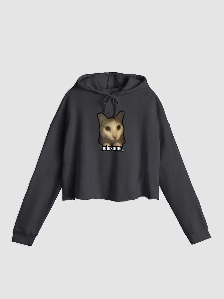 holesome Nico lightweight crop top hoodie product image (2)