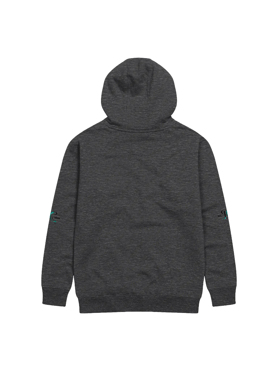 Beyond Boundaries, Gradient Unisex Hoodie product image (1)