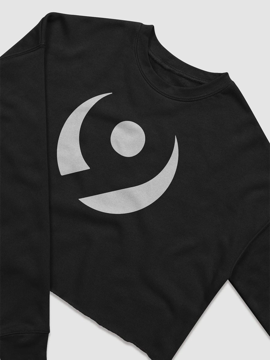 Symmetry Loop Logo Fleece Sweatshirt product image (4)