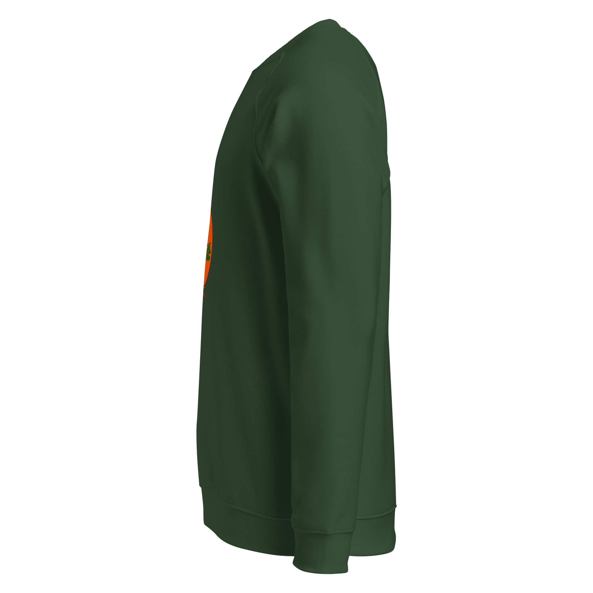 Nature's Tranquility Organic Raglan Sweatshirt product image (3)
