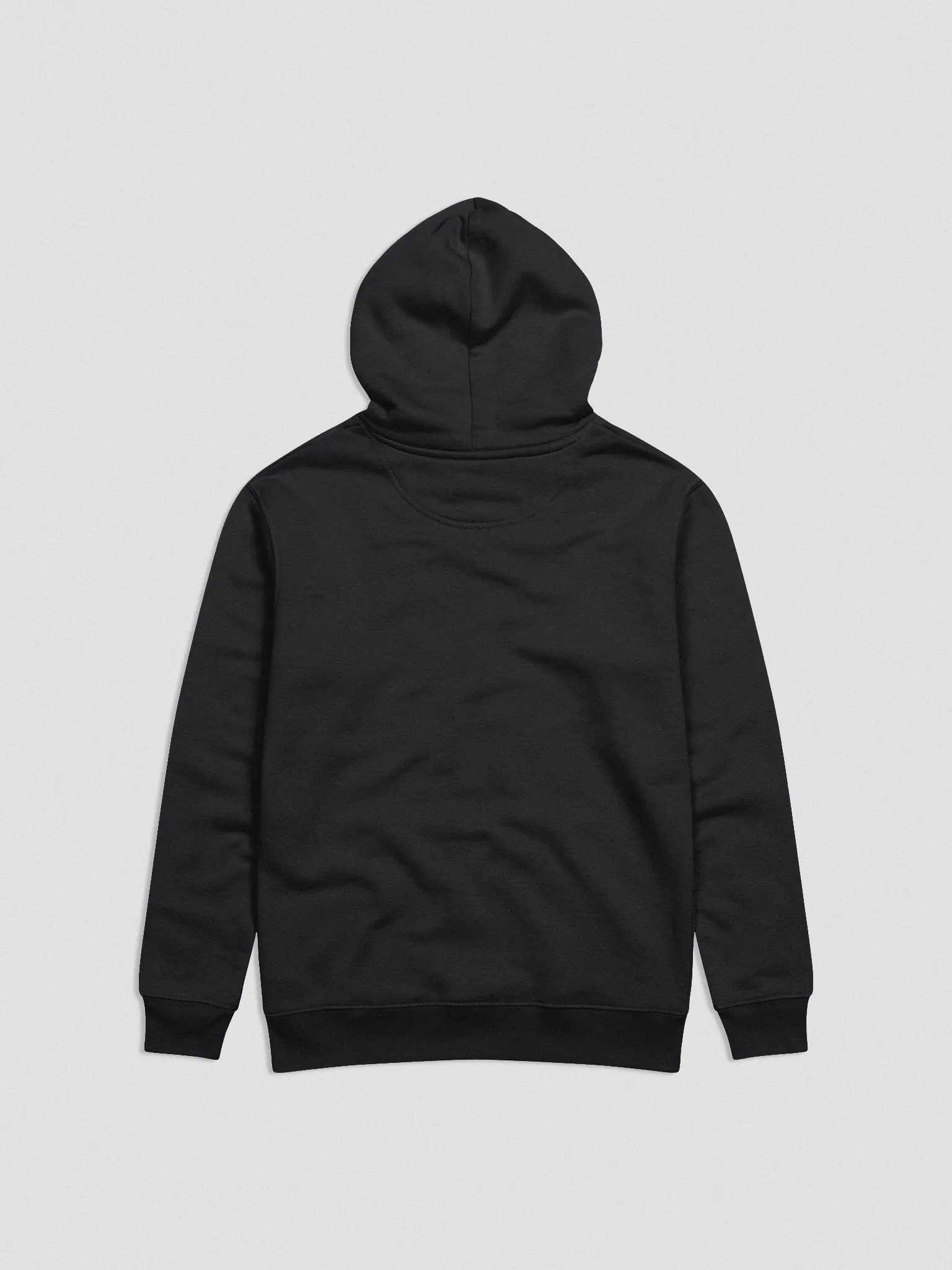 PREMIUM VSVN HOODIE product image (2)