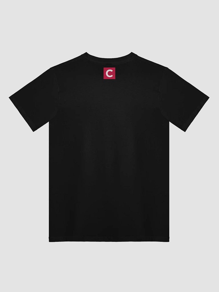 "Protect Democracy" Black Unisex Tee product image (2)