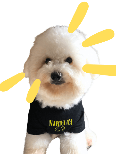 Nirvana T-shirt FURKIDS product image (3)