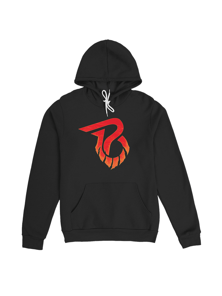 The Phoenix Effect - Hoodie product image (1)
