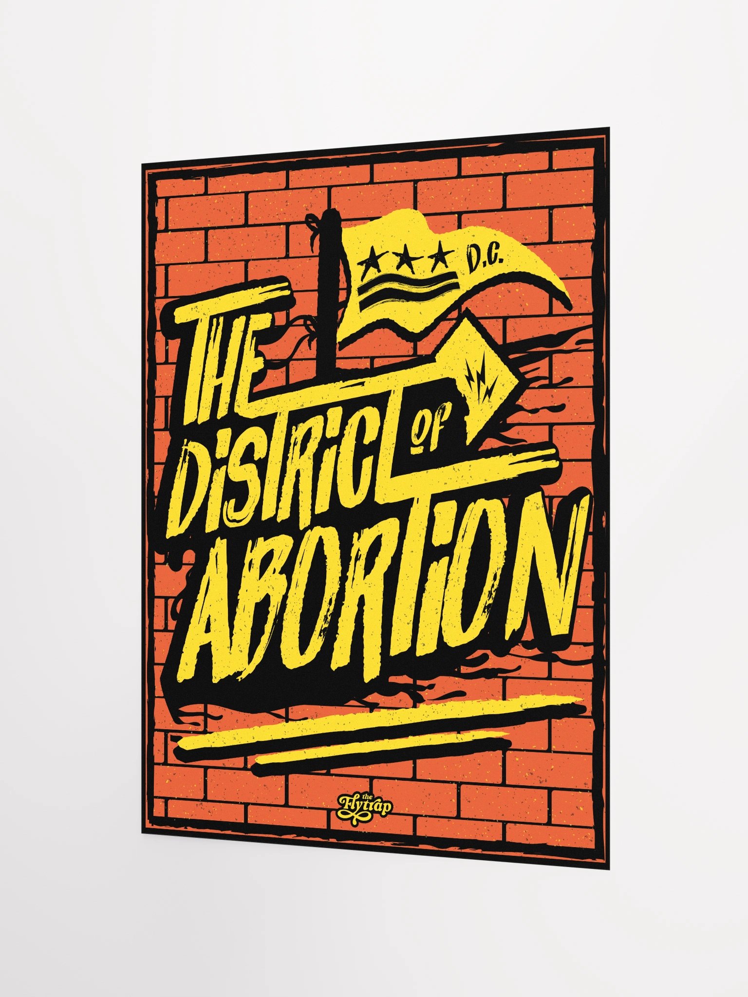 The District of Abortion 12x16 poster product image (2)