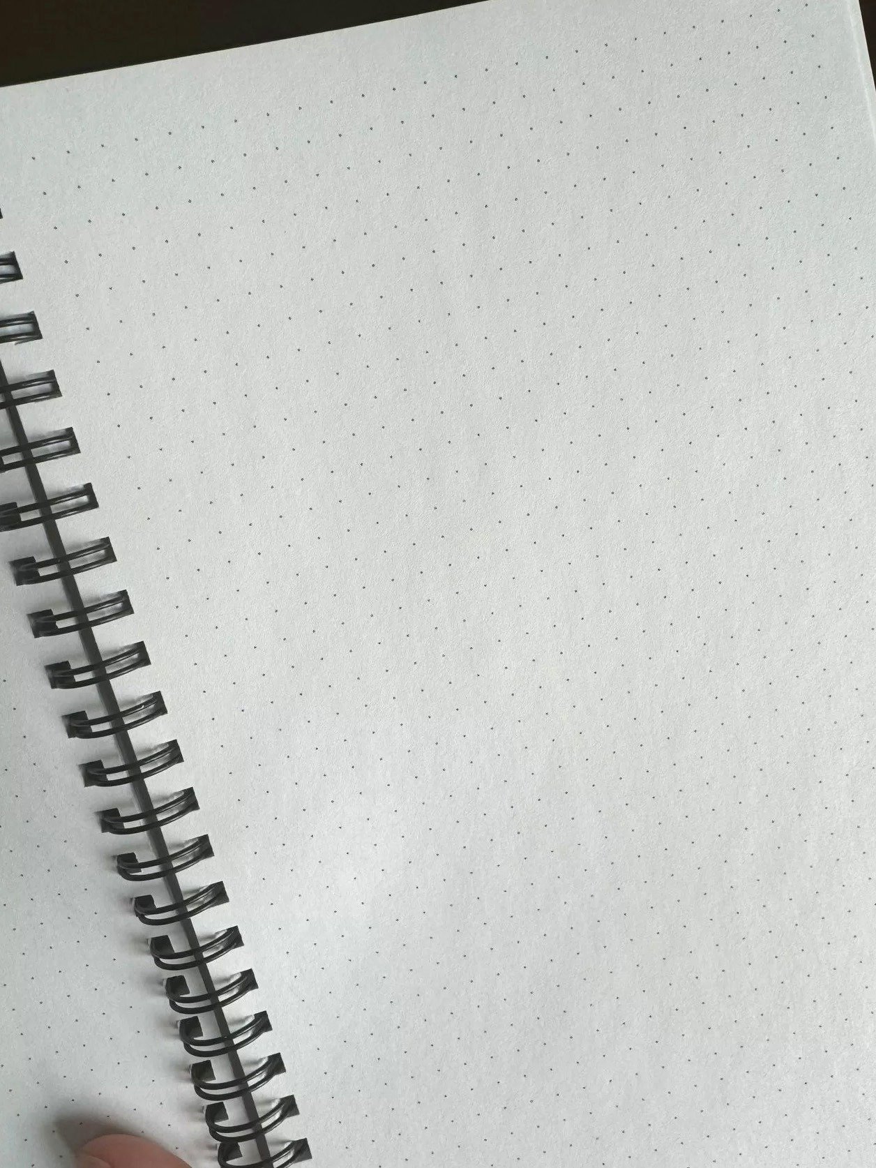 New Year, Jew Me Dotted Spiral Notebook product image (4)