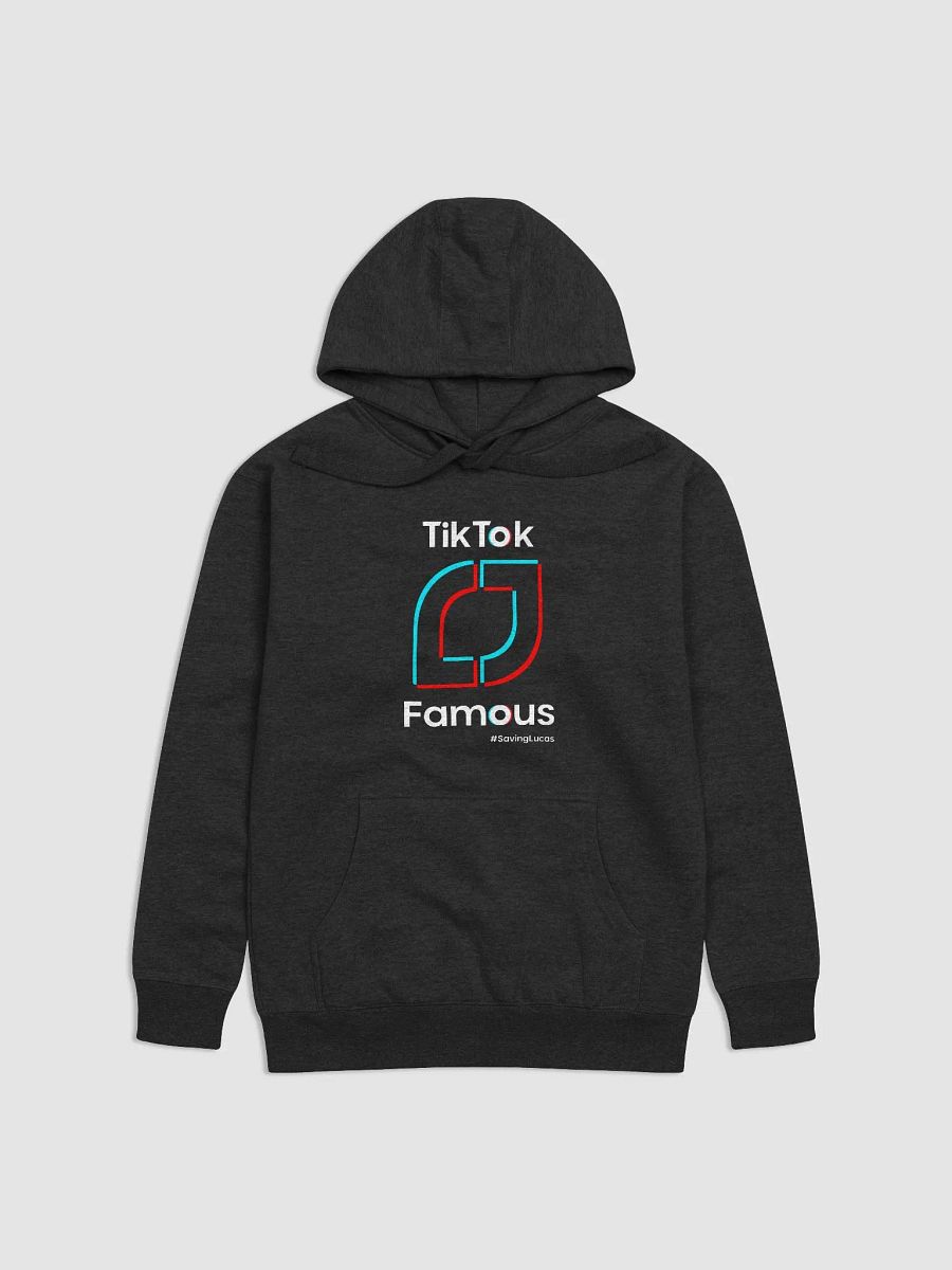 Tik-tok-famous Hoodie product image (1)