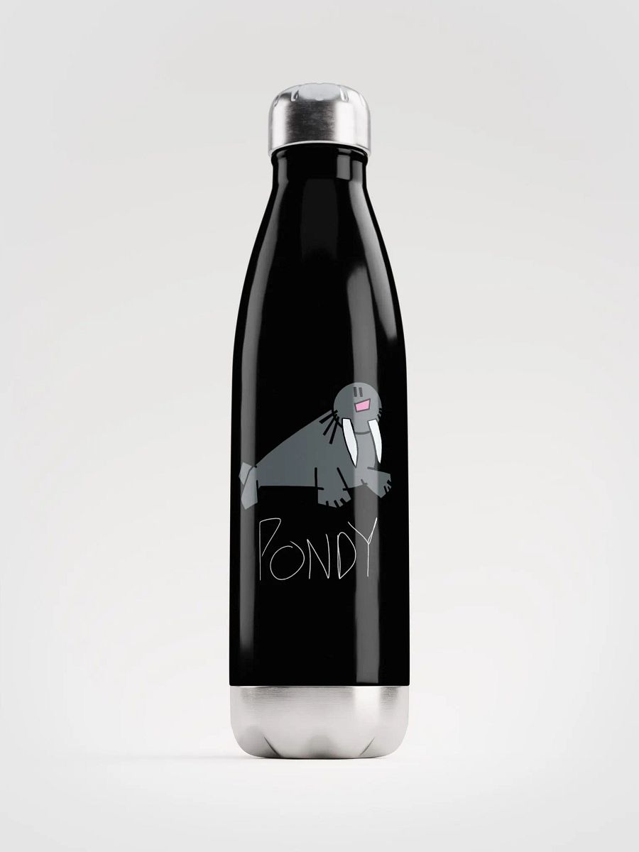 Pondy Stainless steal product image (1)