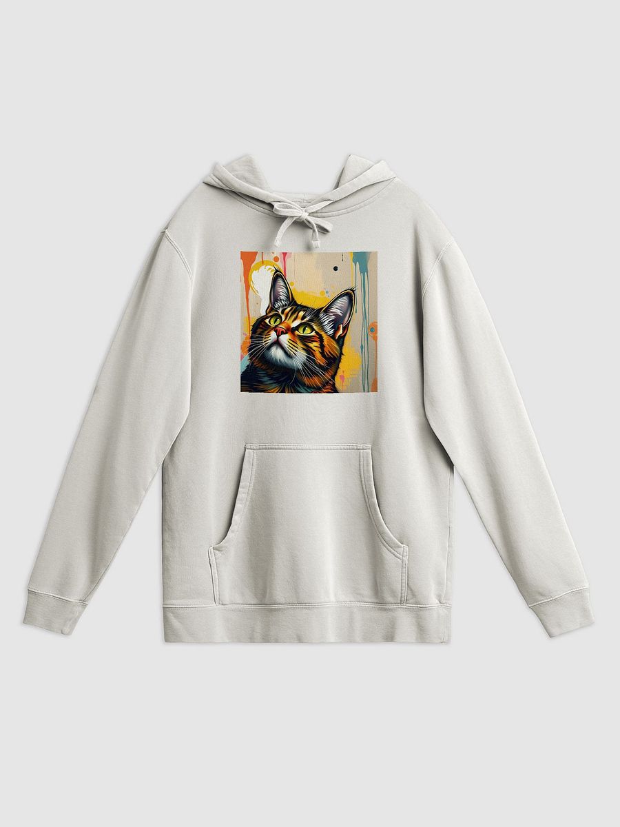 Pretty Kitty! Vintage Washed Out Hoodie Set product image (1)