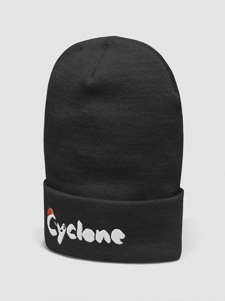 Festive Vibes Embroidered Beanie product image (2)