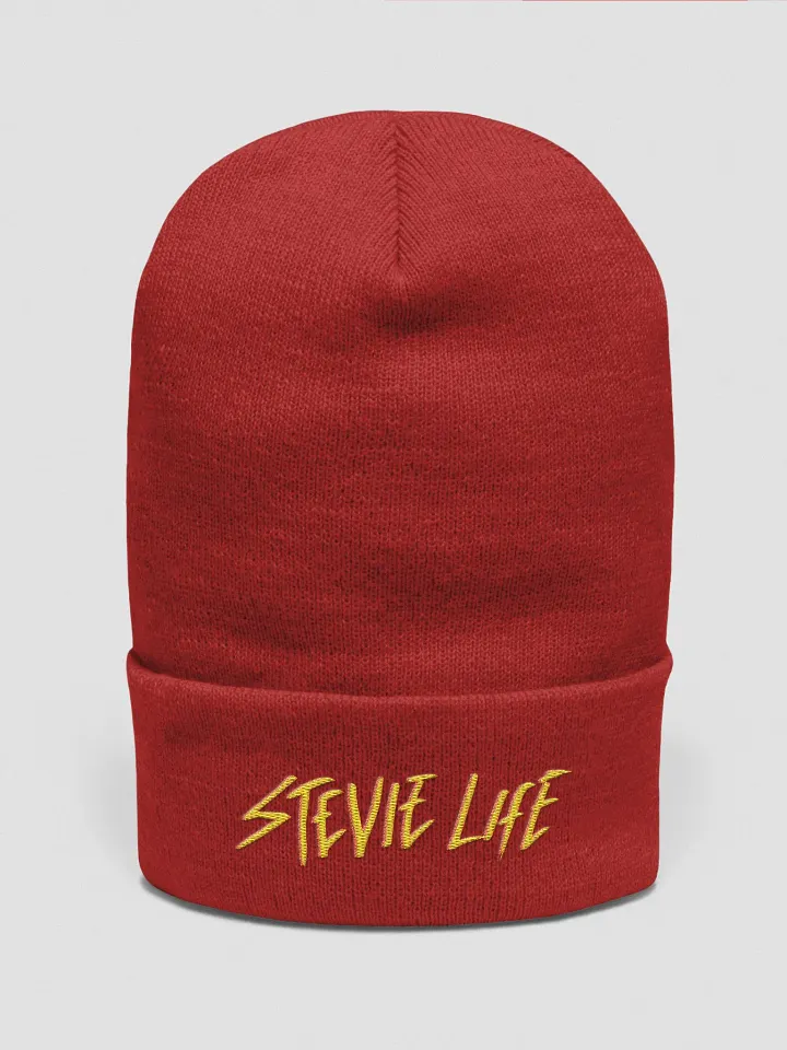 Stevielife Beanie product image (9)