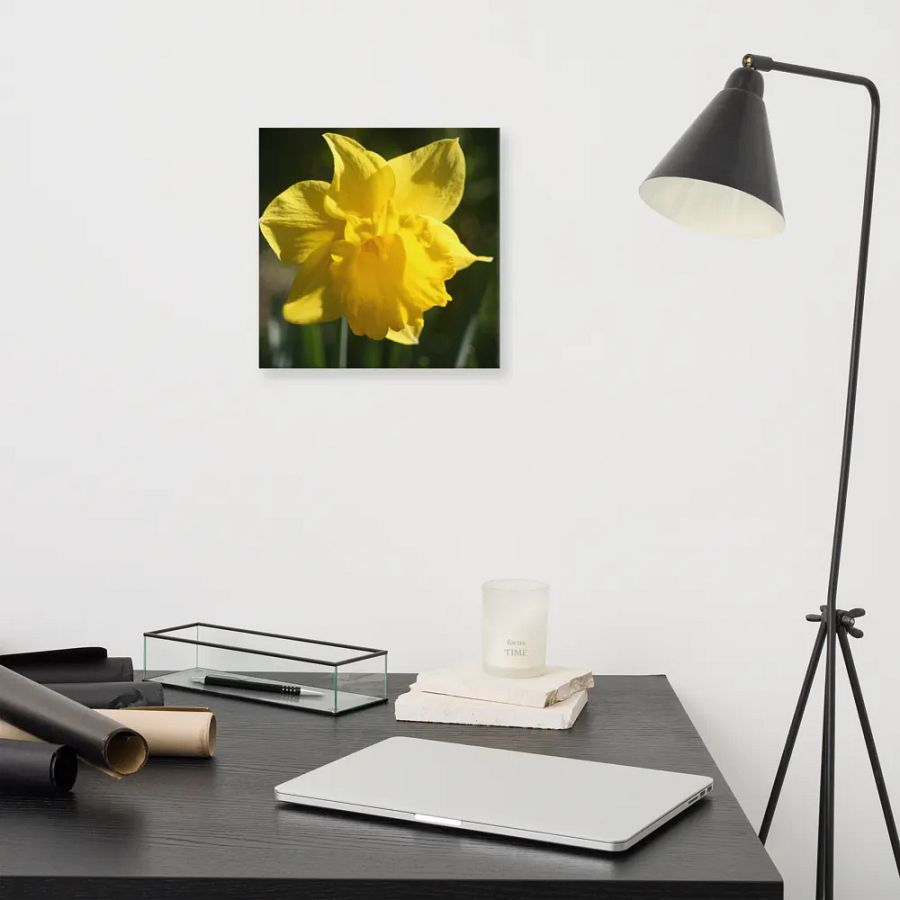 Daffodil product image (11)
