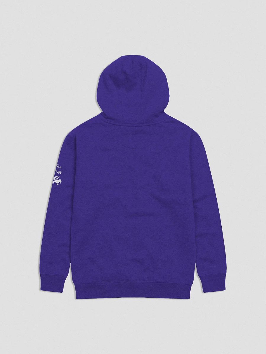 Christmas Photoshoot - Premium Hoodie -🎄📸 product image (15)