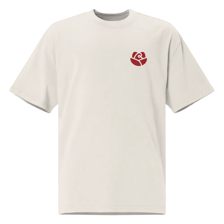 AS Colour Premium Oversized Faded T-Shirt product image (3)