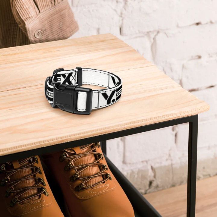 Y.EX 'pet' collar product image (2)