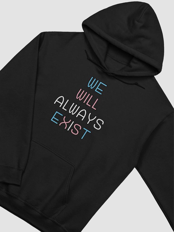 We Will Always Exist Trans Hoodie product image (2)