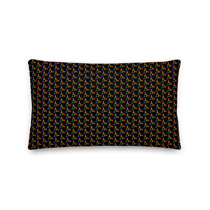 LGBTQIAP2S+ 2025, Sounds Queer I'm In, Pillow product image (5)