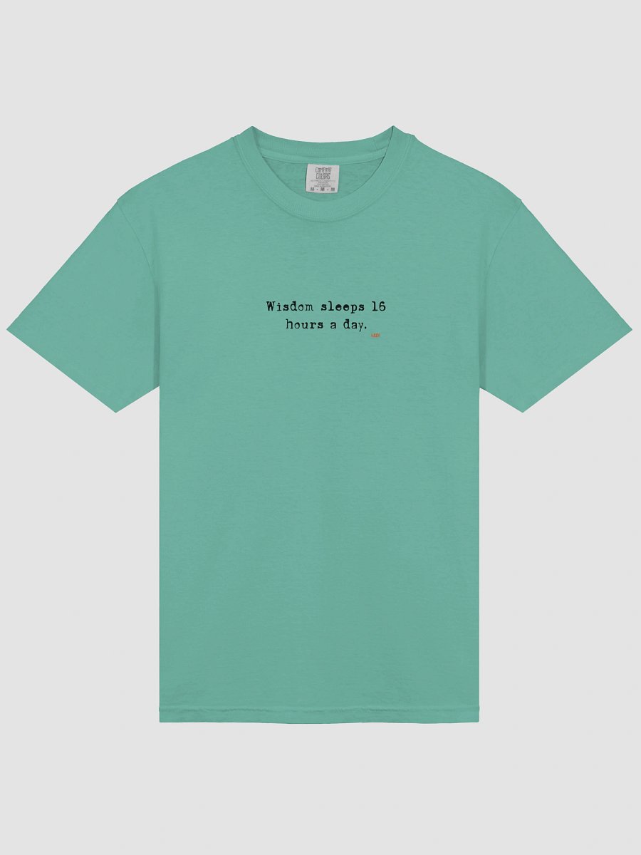 Cat Wisdom Comfort Tee product image (104)