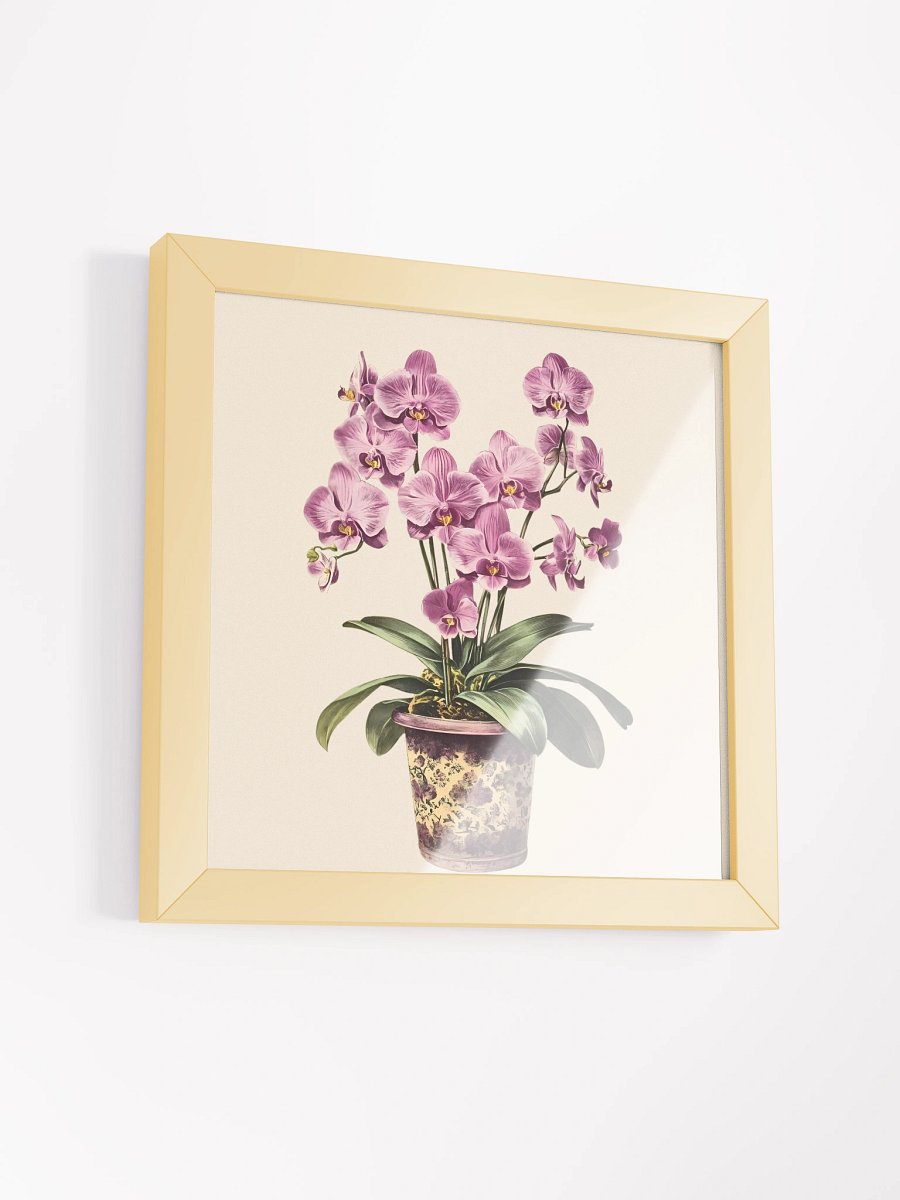 Orchid Bloom Framed Matte Poster product image (3)