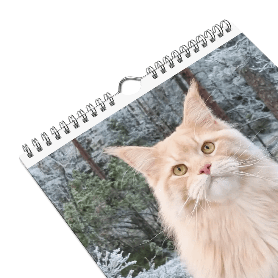 2024 Calendar - Adventures with Maine Coons product image (5)