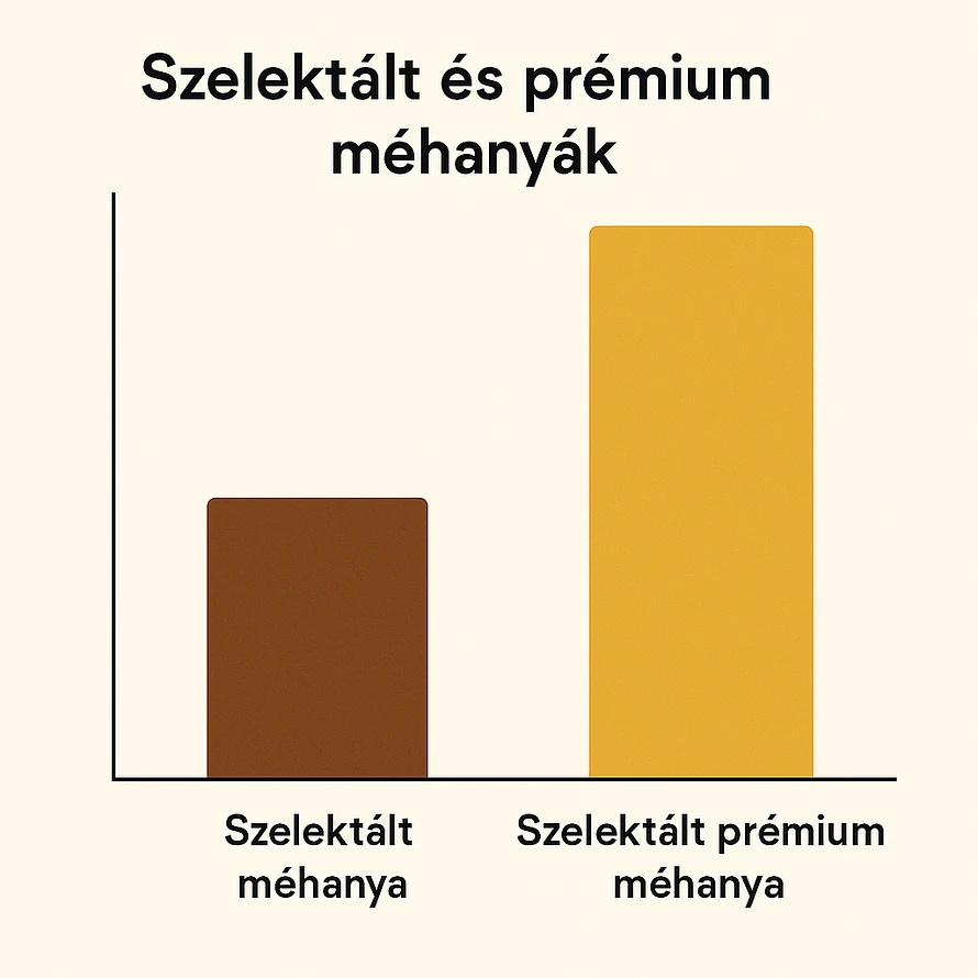 szelektál prémium buckfast méhanyák