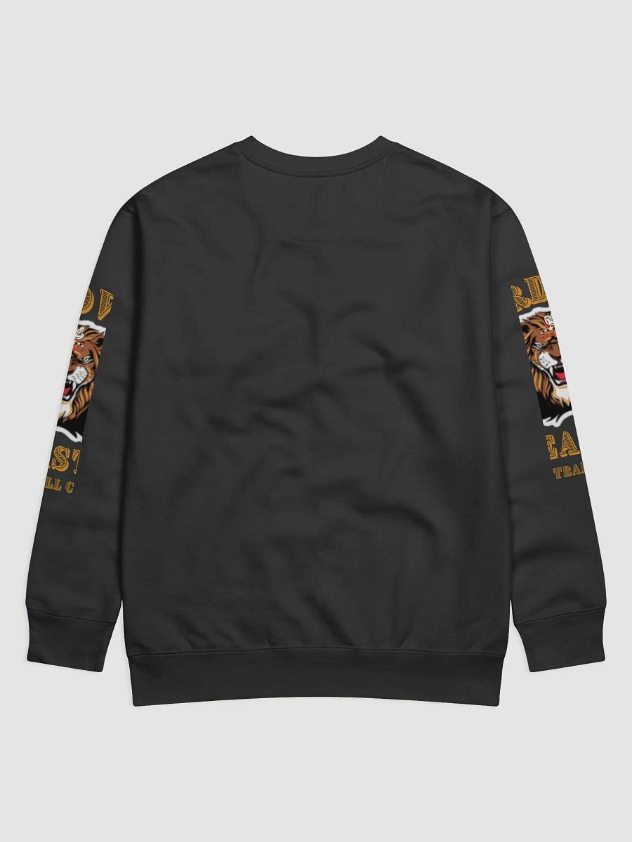 Boardwalk Beasts Sweatshirt with Beast Sleeves product image (2)