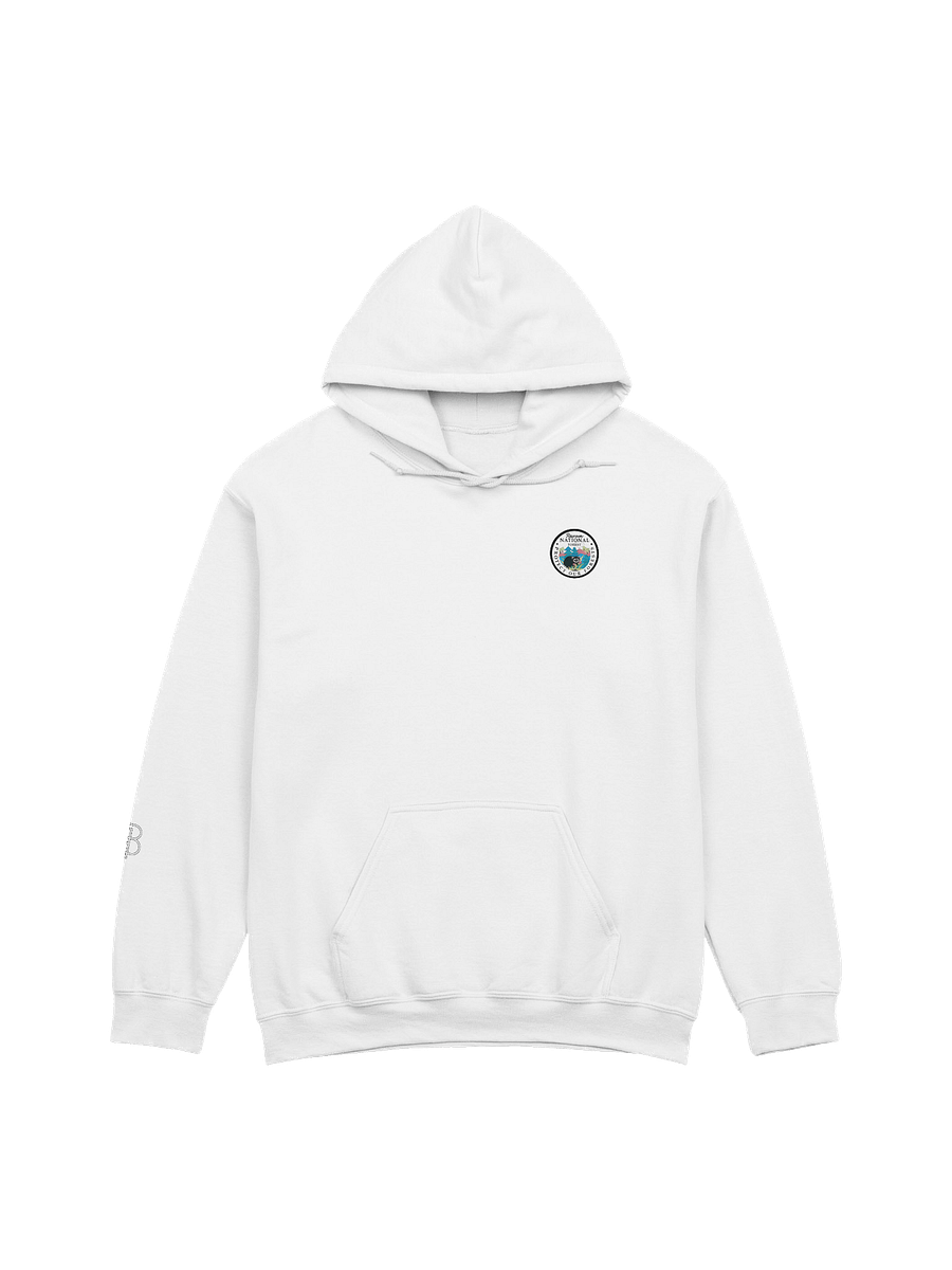 Raccoon National Forest Hoodie product image (9)