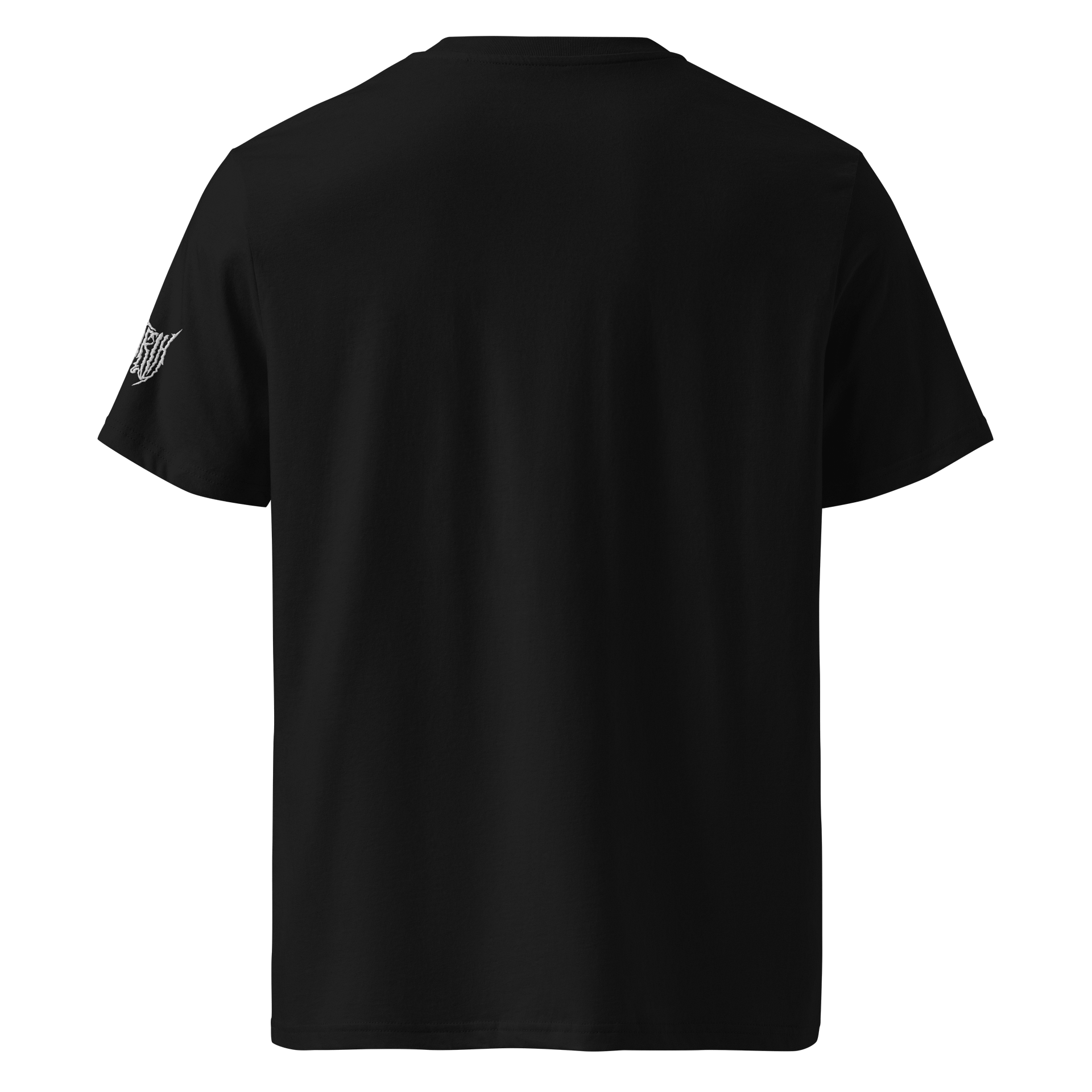 Age Of Aquarius Was A Lie Shirt product image (3)