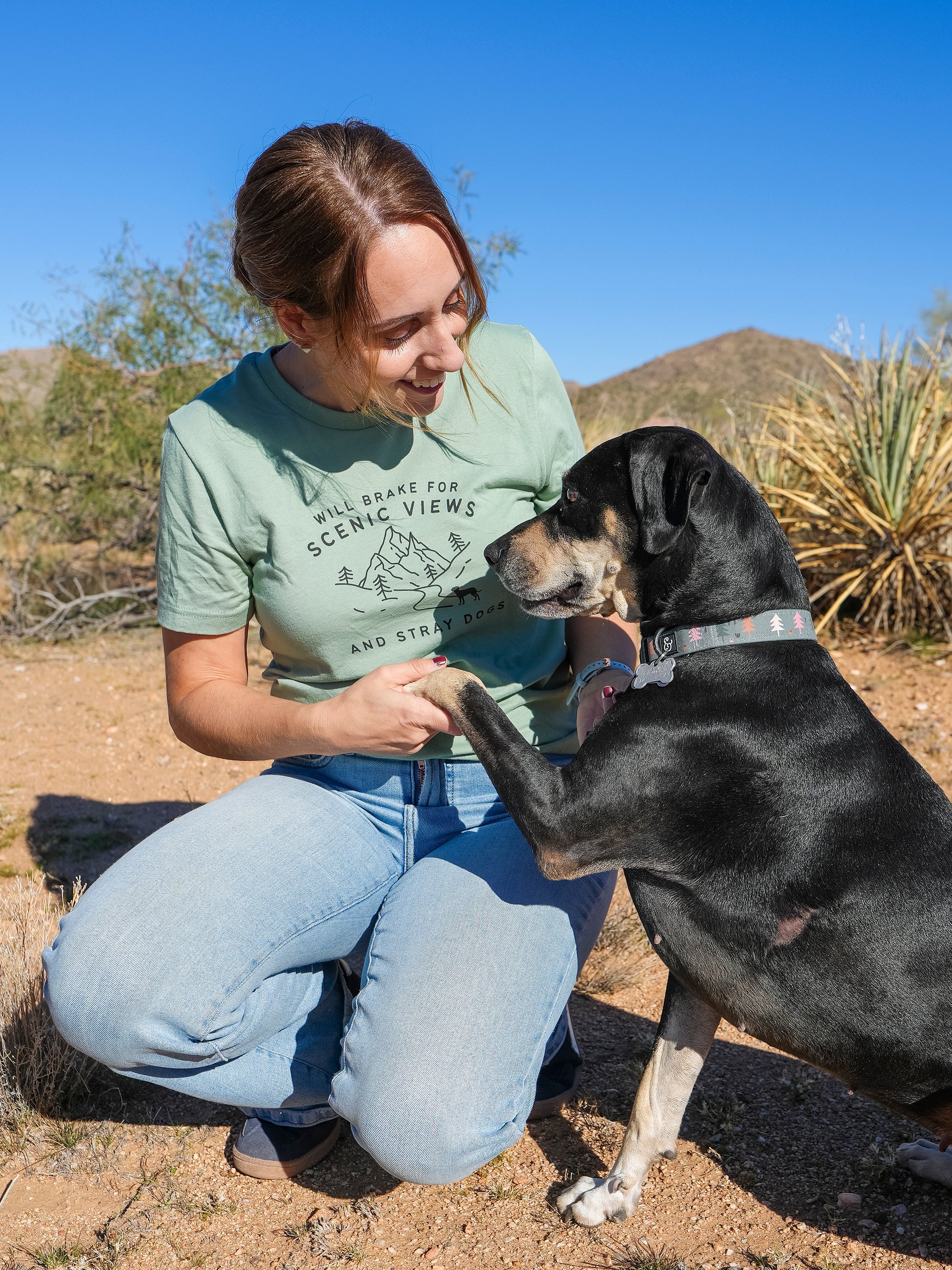 Stray Dogs Tee product image (7)
