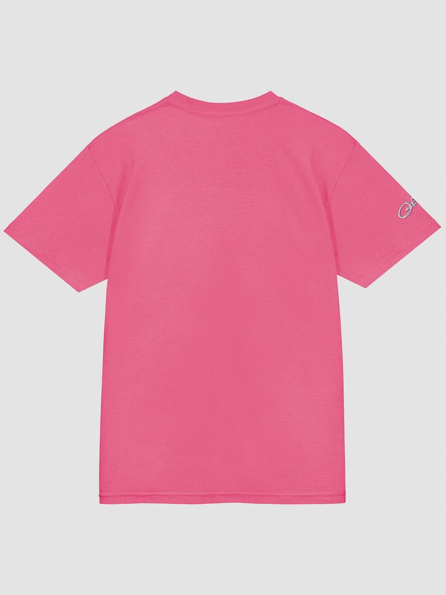 Professional Horse Girl Trainer T Shirt product image (10)