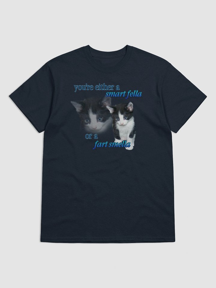 Smart Fella or a Fart Smella - Cat T-shirt product image (85)